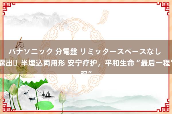 パナソニック 分電盤 リミッタースペースなし 露出・半埋込両用形 安宁疗护，平和生命“最后一程”