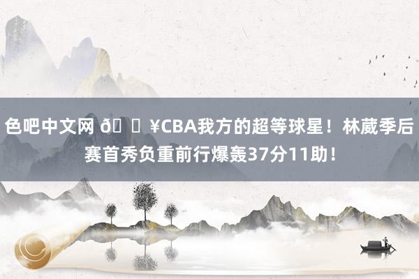 色吧中文网 💥CBA我方的超等球星！林葳季后赛首秀负重前行爆轰37分11助！