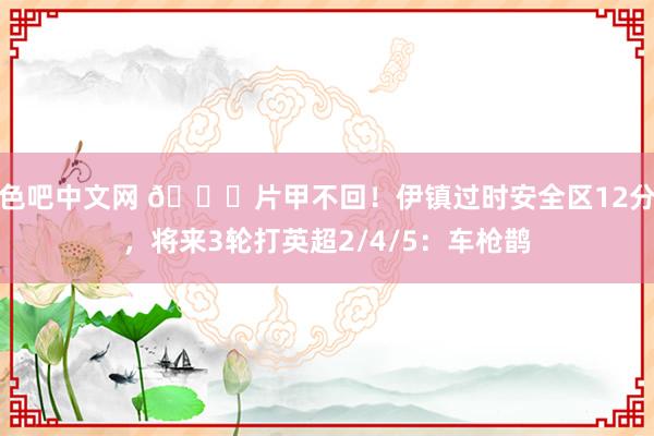 色吧中文网 💀片甲不回！伊镇过时安全区12分，将来3轮打英超2/4/5：车枪鹊